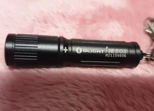 라이트의 신세계