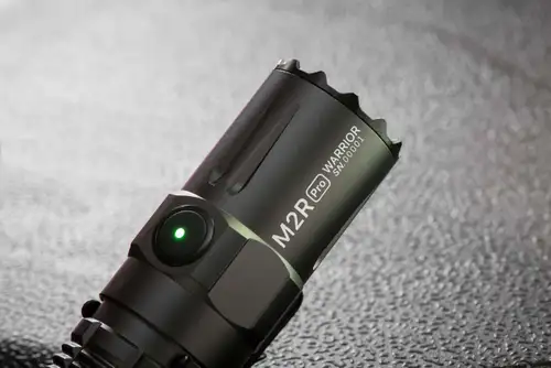 오팬데이 화이팅