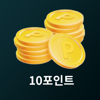 10 포인트