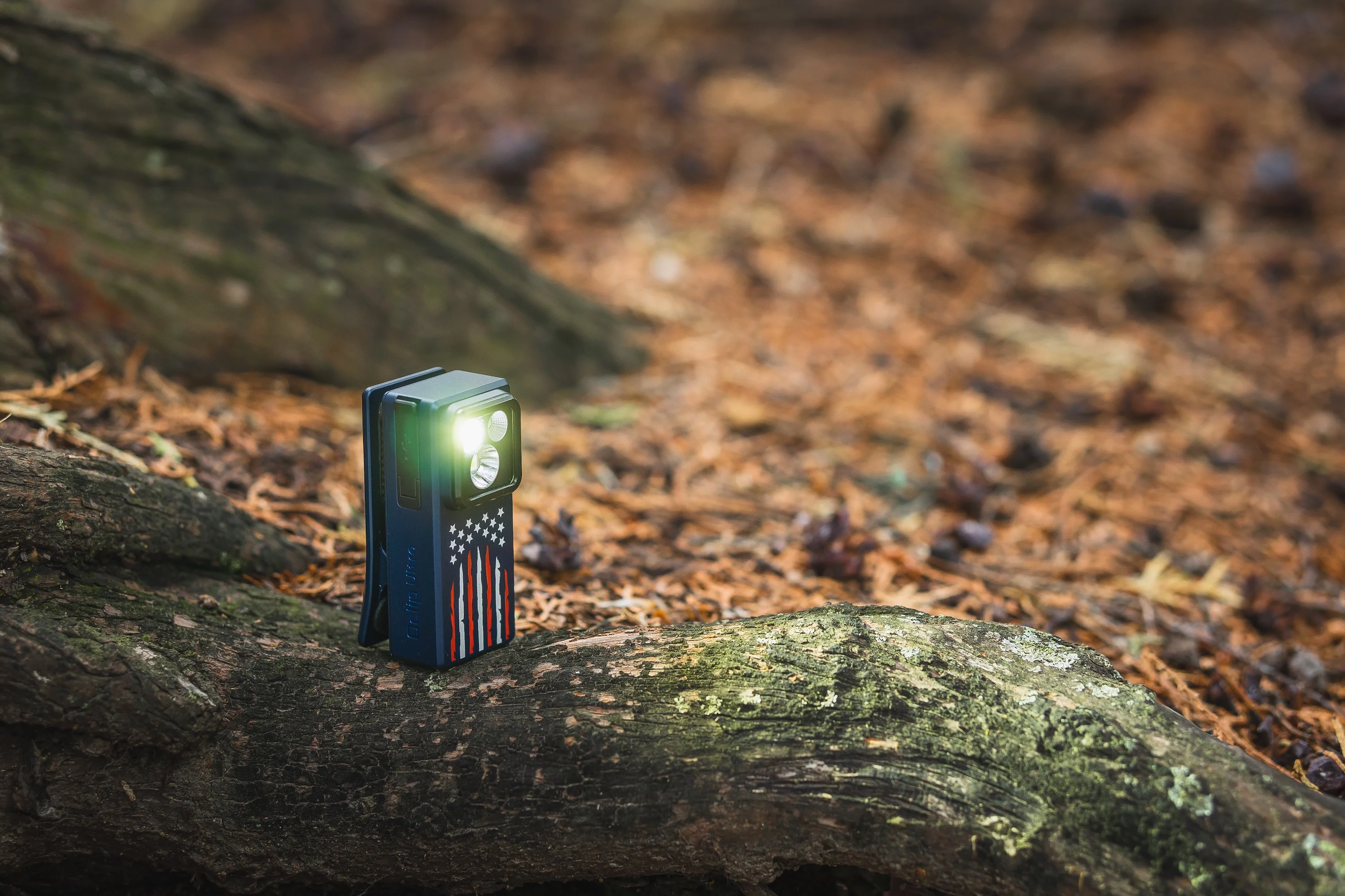 미국 국기 디자인 손전등이 숲 속 나뭇가지 위에서 밝게 빛나는 모습