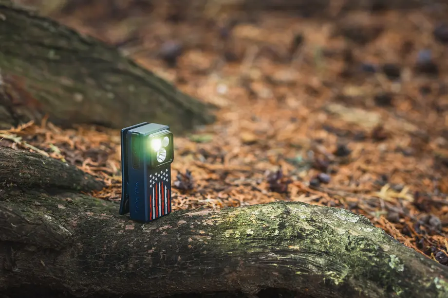 미국 국기 디자인 손전등이 숲 속 나뭇가지 위에서 밝게 빛나는 모습